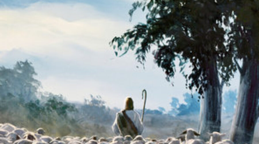 The Lord is Our Shepherd